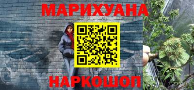 сатива Коммунар