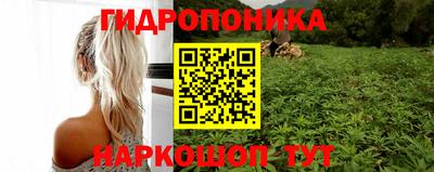 сатива Коммунар