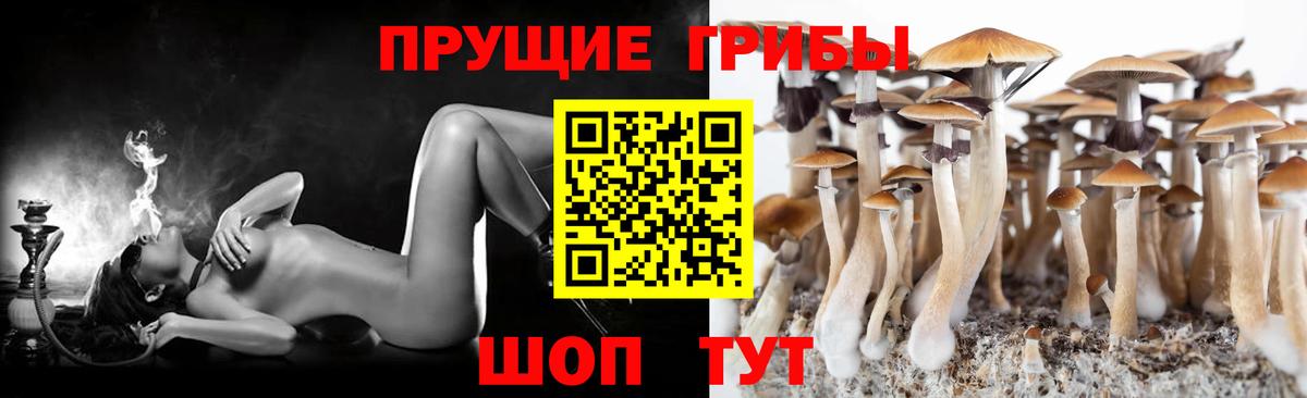 Галлюциногенные грибы прущие грибы  Псилоцибиновые грибы мухоморы  Вход с VPN  Карачаевск 